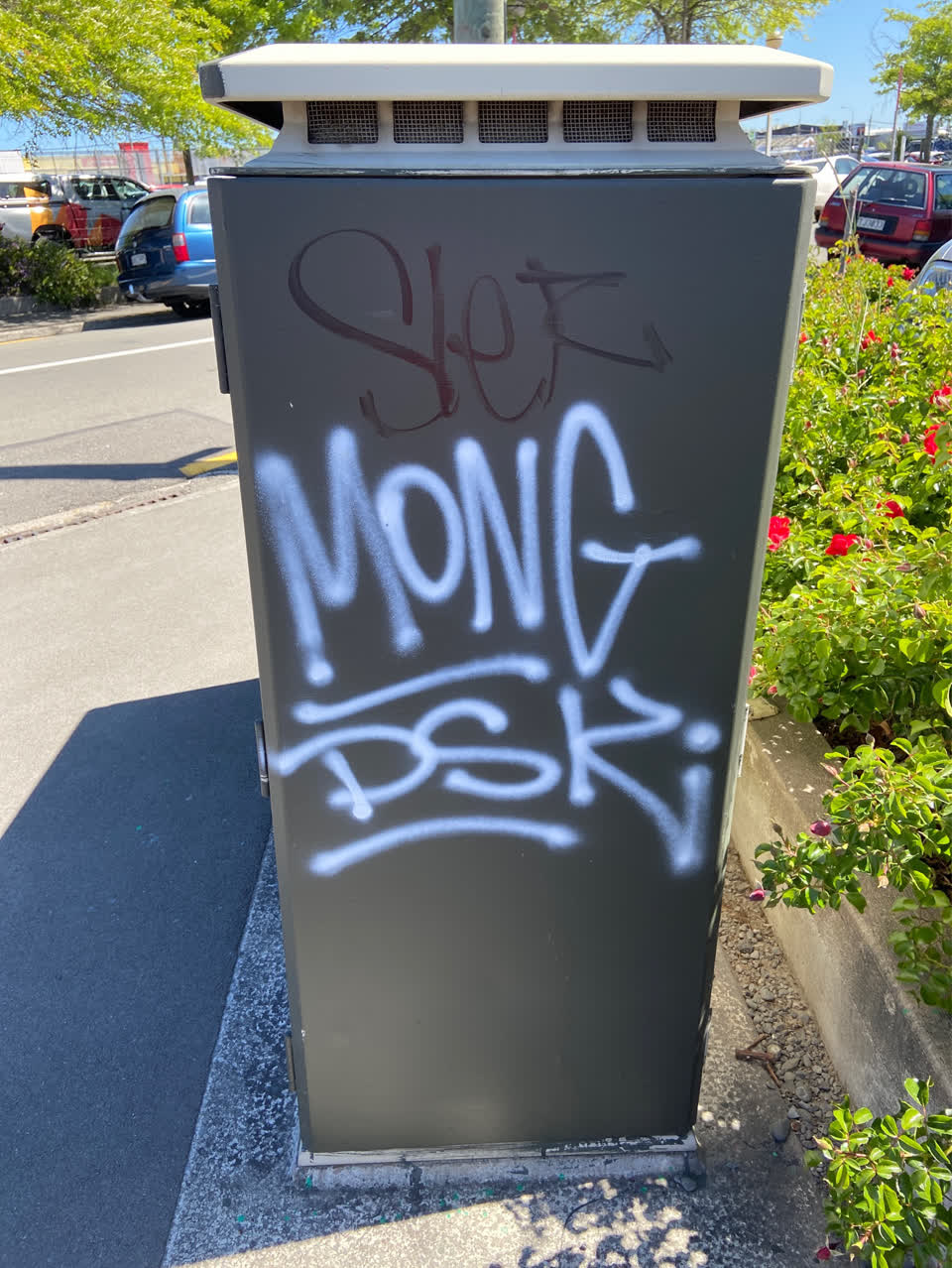 The photograph attached to this graffiti report