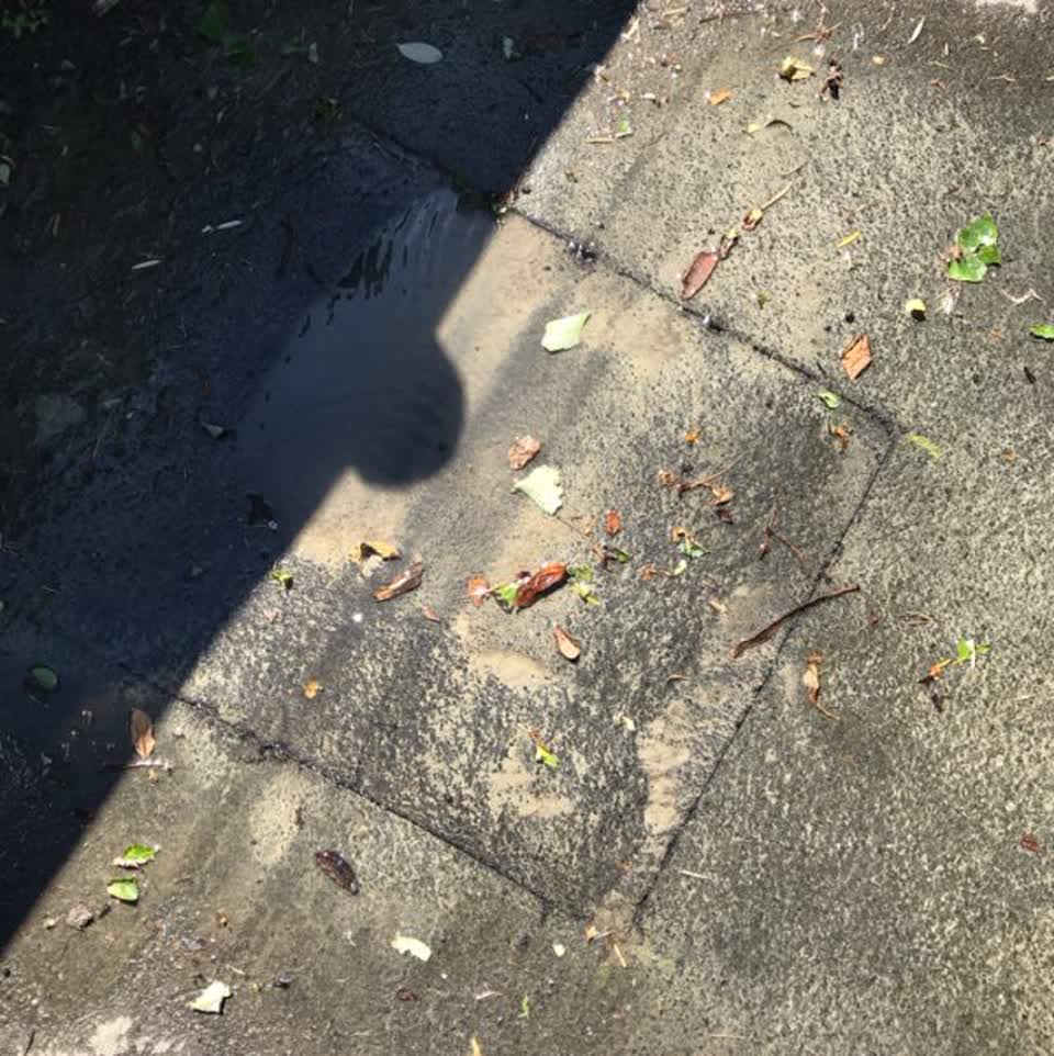 The photograph attached to this wastewater/stormwater report