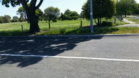 Parks, a report photo