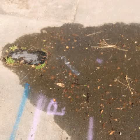 Flooding, a report photo