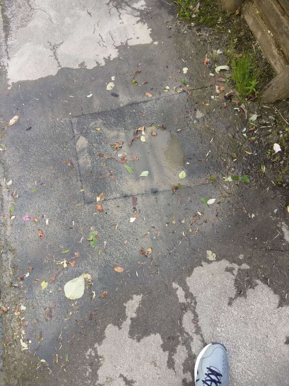 The photograph attached to this water supply report