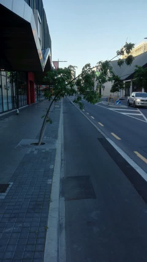 Roading/Streets, a report photo