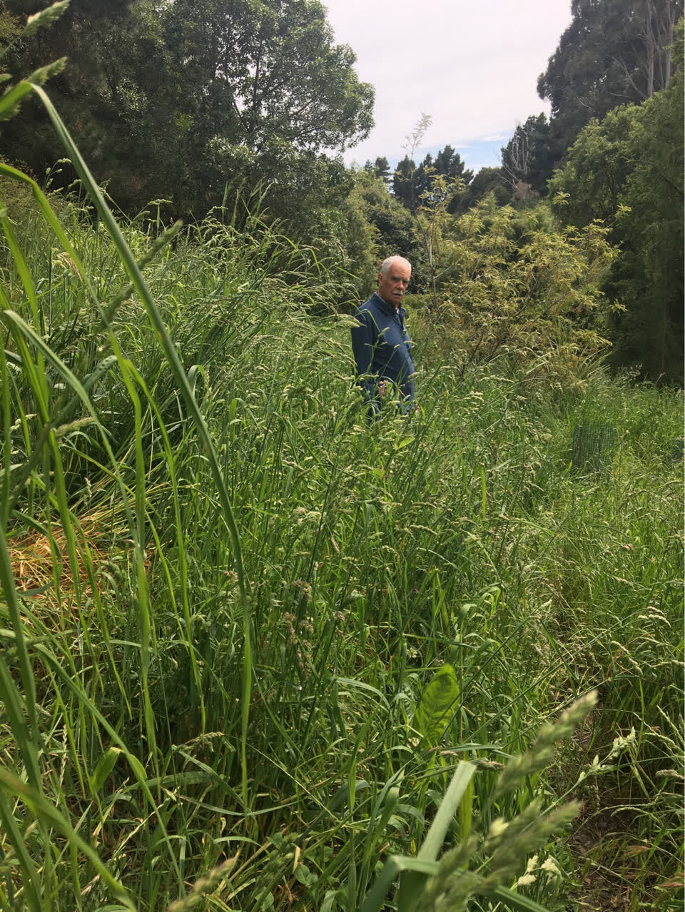 The photograph attached to this parks report