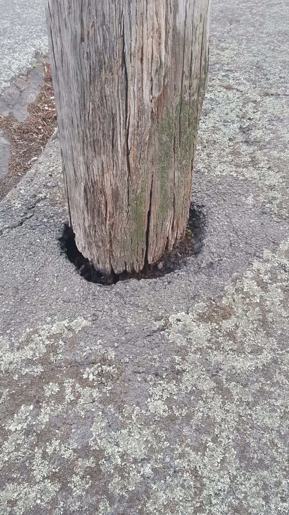 The photograph attached to this roading/streets report
