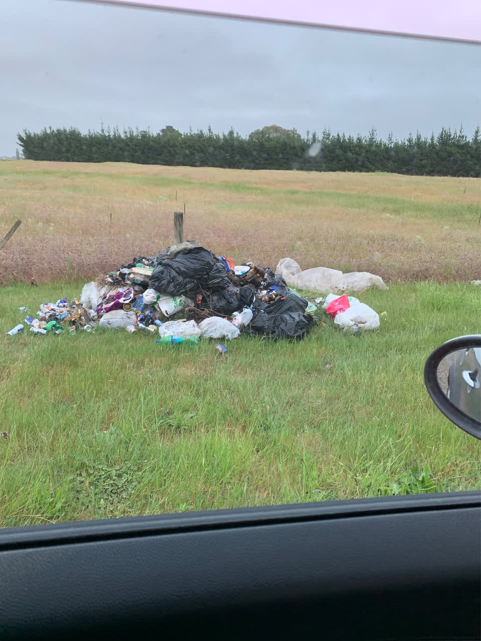 The photograph attached to this rubbish/recycling report