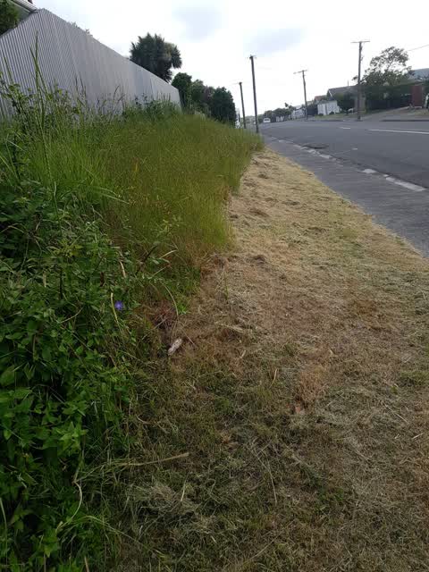 Roading/Streets, a report photo