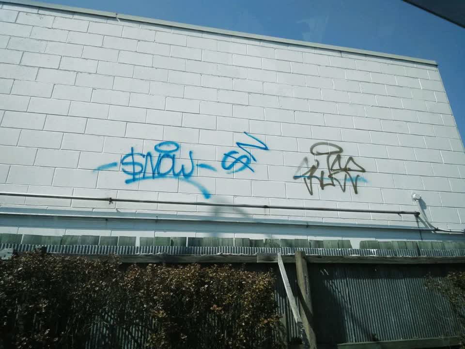 The photograph attached to this graffiti report
