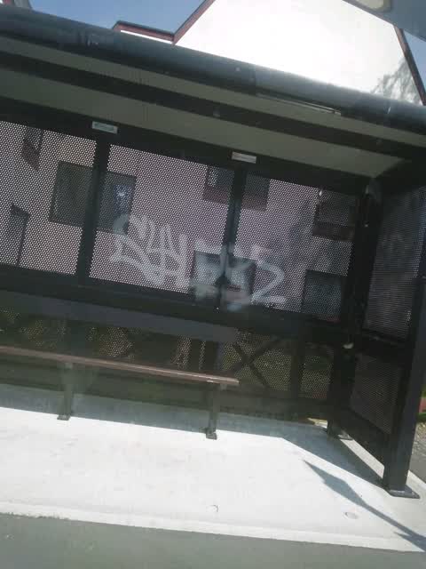 Graffiti, a report photo