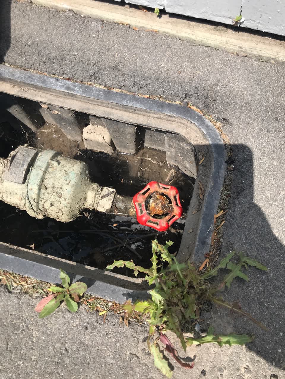 The photograph attached to this water supply report