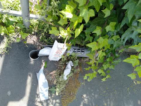 Roading/Streets, a report photo