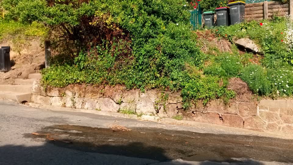 The photograph attached to this water supply report