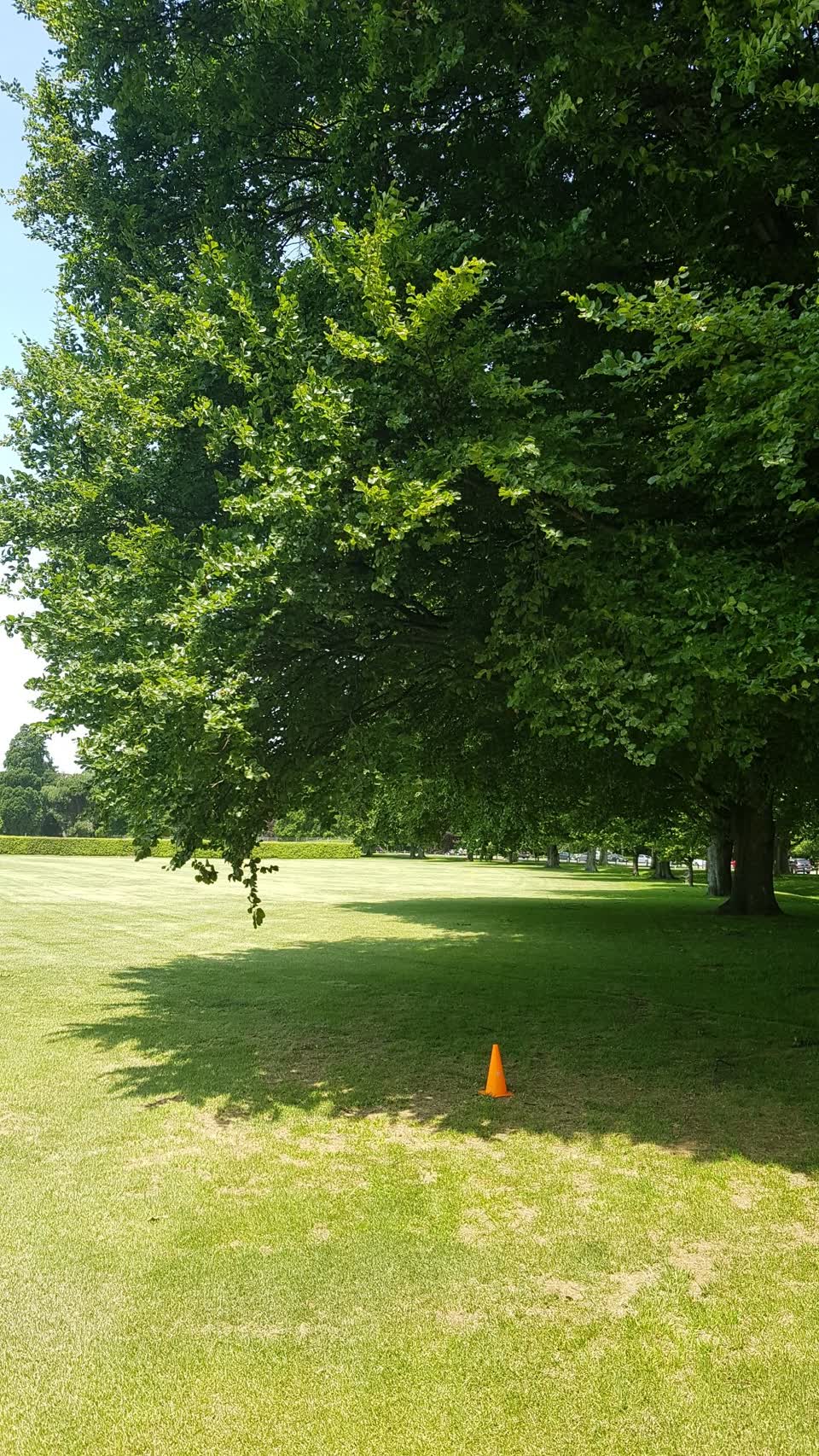 The photograph attached to this parks report