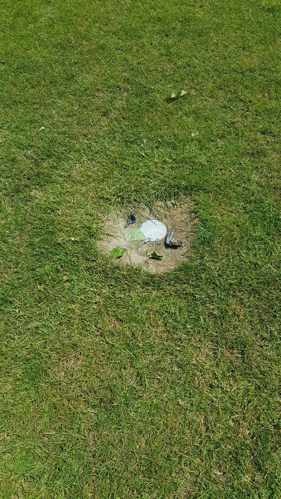 The photograph attached to this parks report