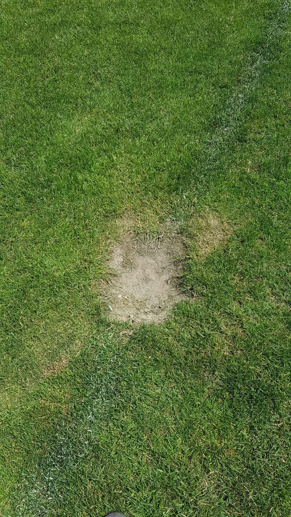 The photograph attached to this parks report