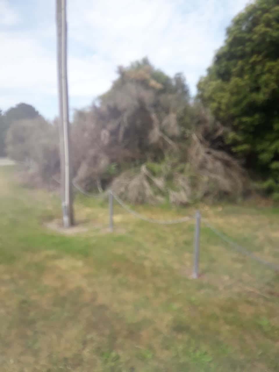 The photograph attached to this parks report