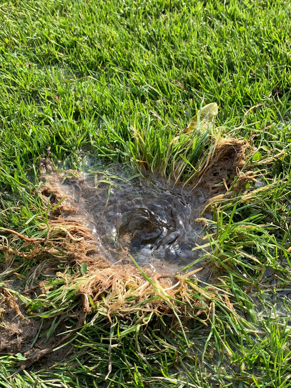 The photograph attached to this water supply report