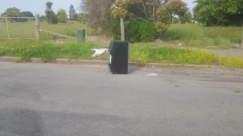 Rubbish/Recycling, a report photo