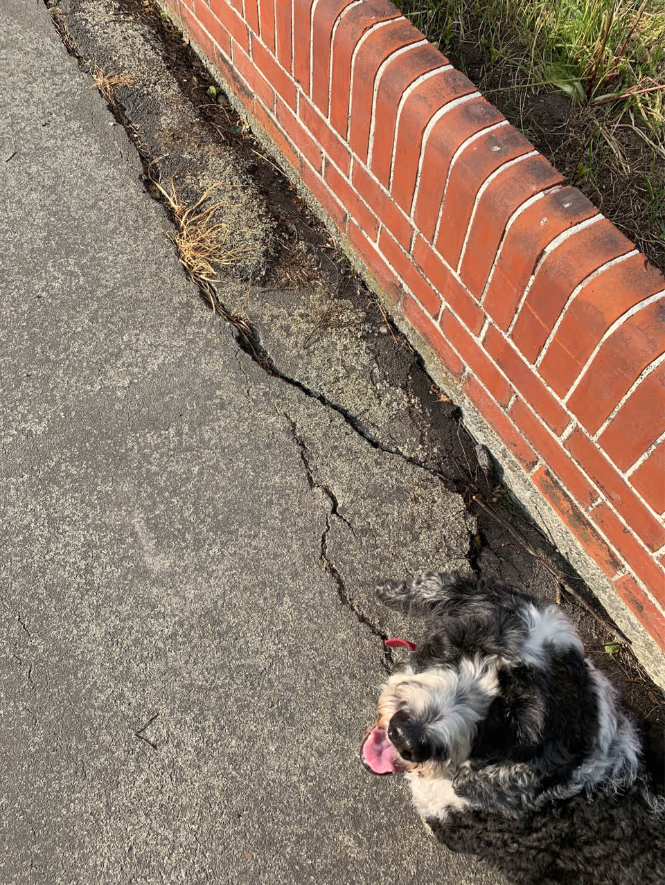 The photograph attached to this roading/streets report