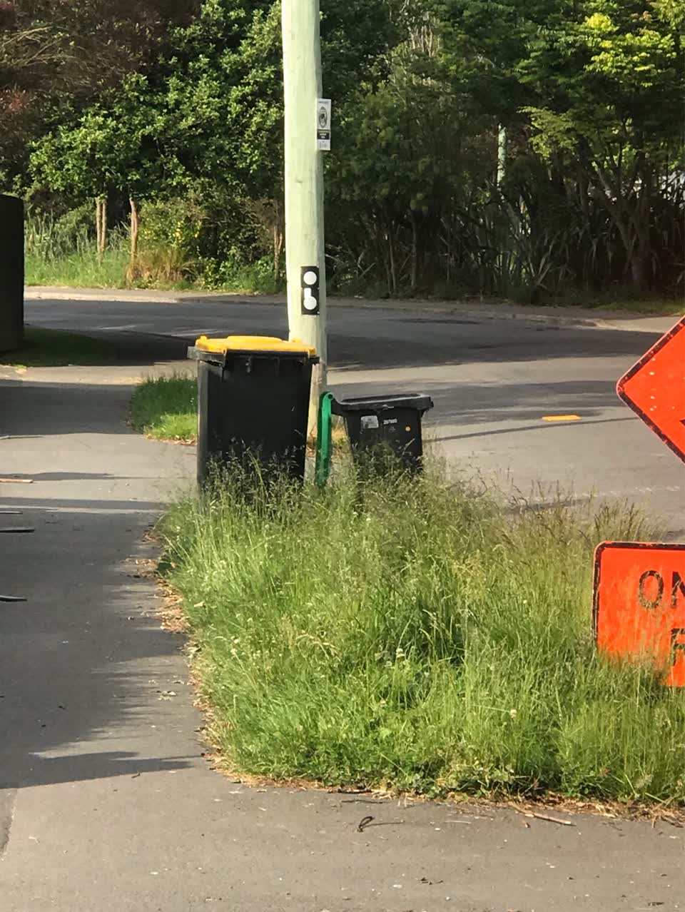 The photograph attached to this parks report