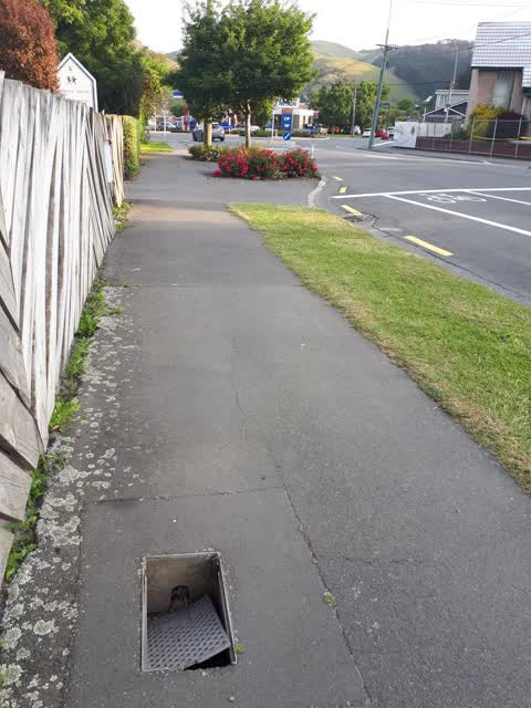 Roading/Streets, a report photo