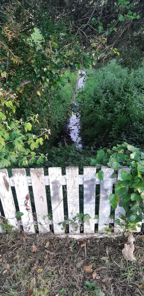 Wastewater/Stormwater, a report photo