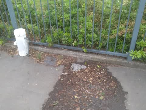 Flooding, a report photo