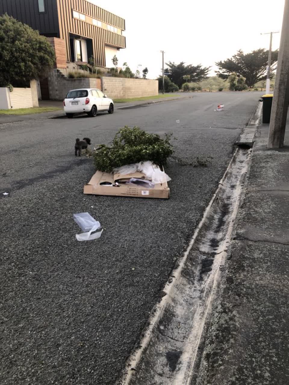 The photograph attached to this rubbish/recycling report