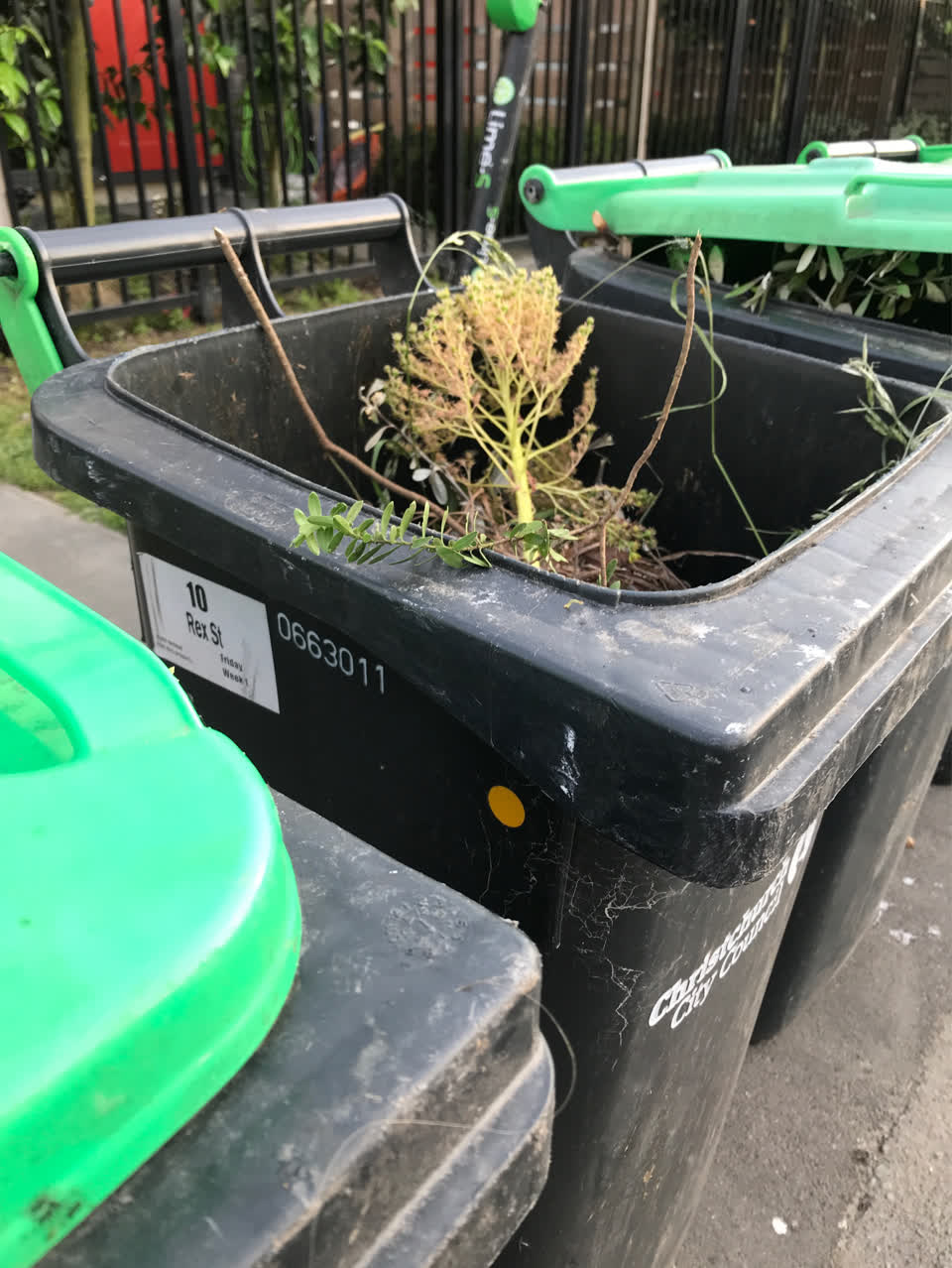 The photograph attached to this rubbish/recycling report