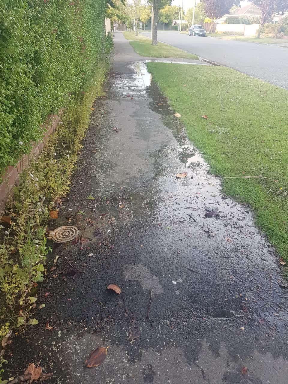 The photograph attached to this water supply report