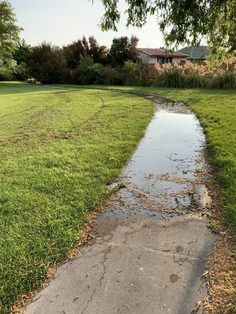 The photograph attached to this water supply report