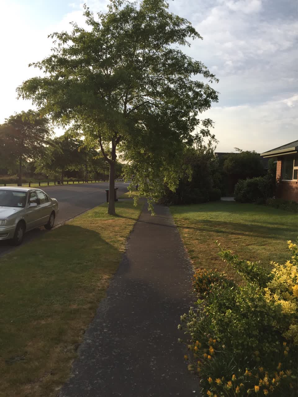 The photograph attached to this parks report