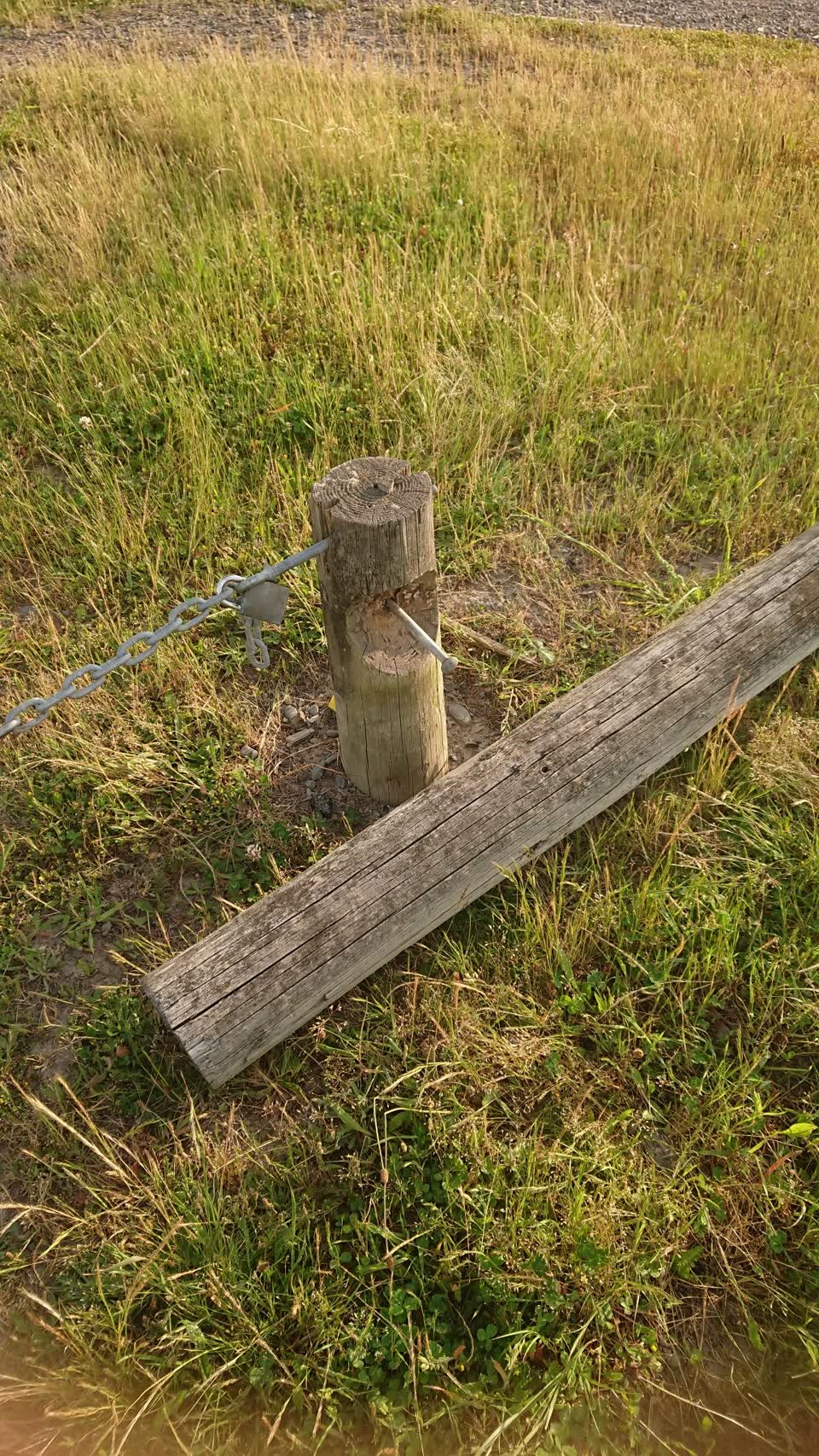 The photograph attached to this parks report
