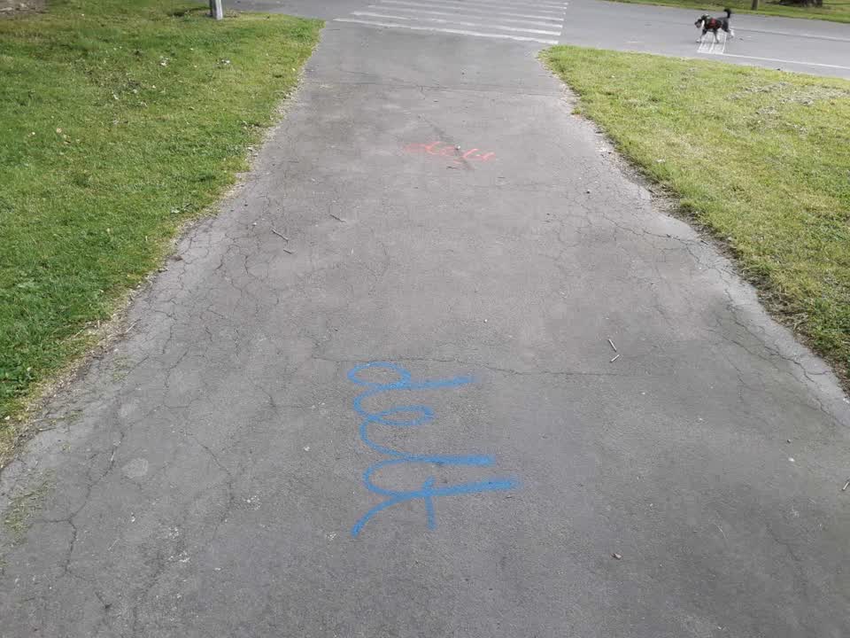 The photograph attached to this graffiti report