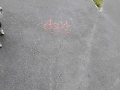 Graffiti — a report photo