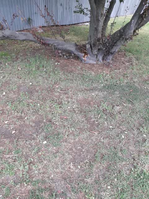Parks — a report photo