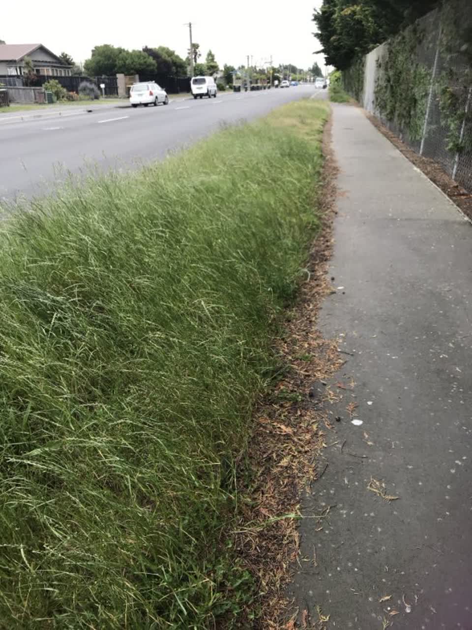 The photograph attached to this parks report