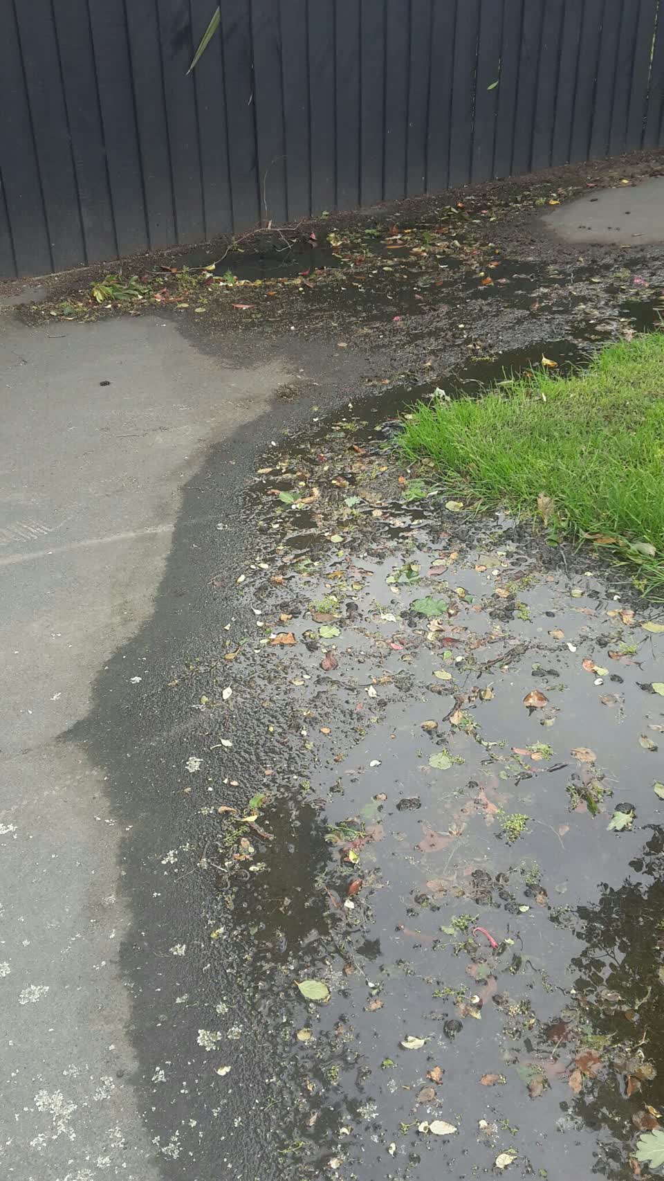 The photograph attached to this water supply report