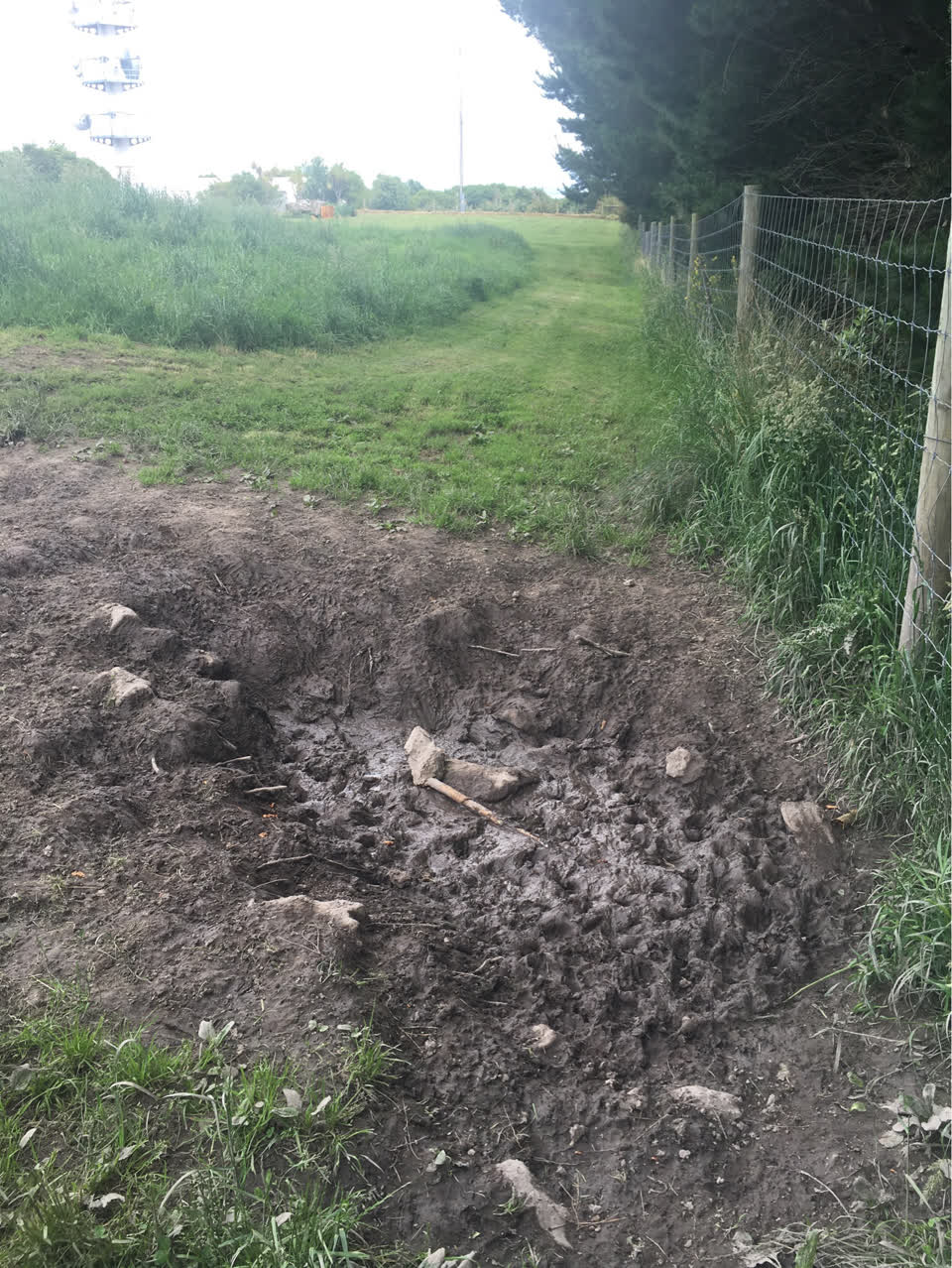 The photograph attached to this parks report