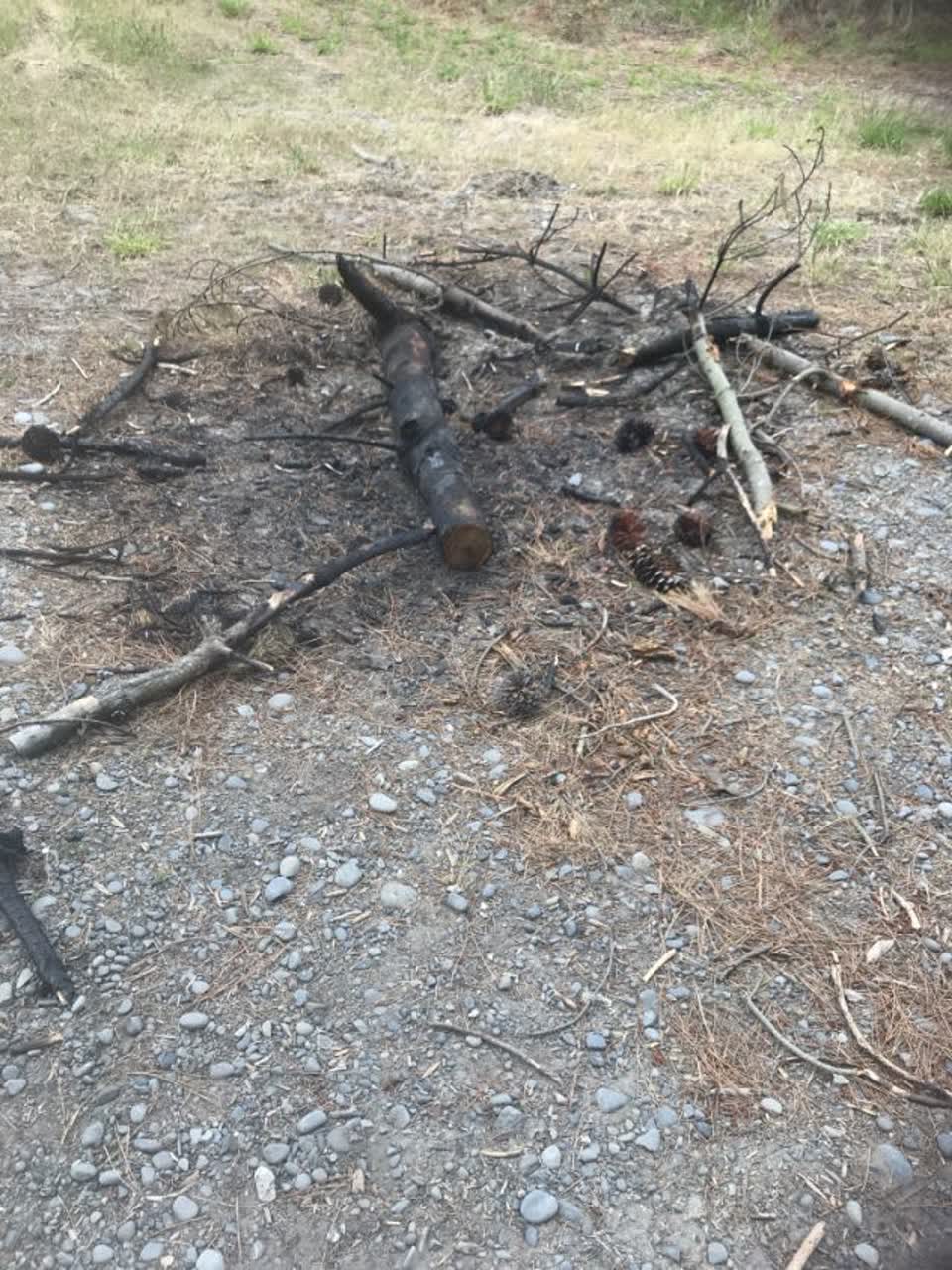 The photograph attached to this parks report