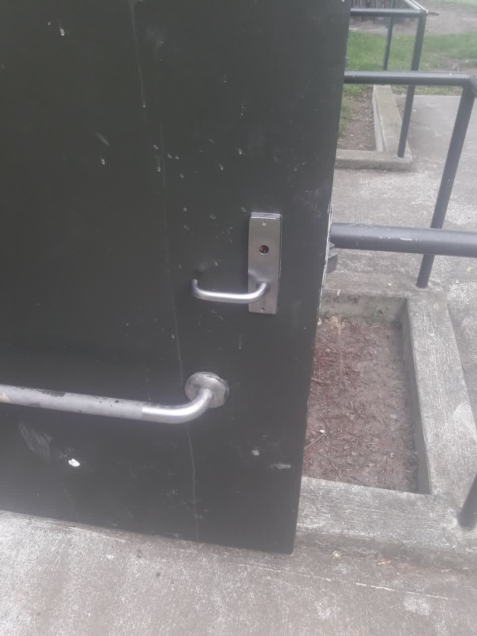 The photograph attached to this parks report