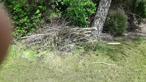 Parks, a report photo