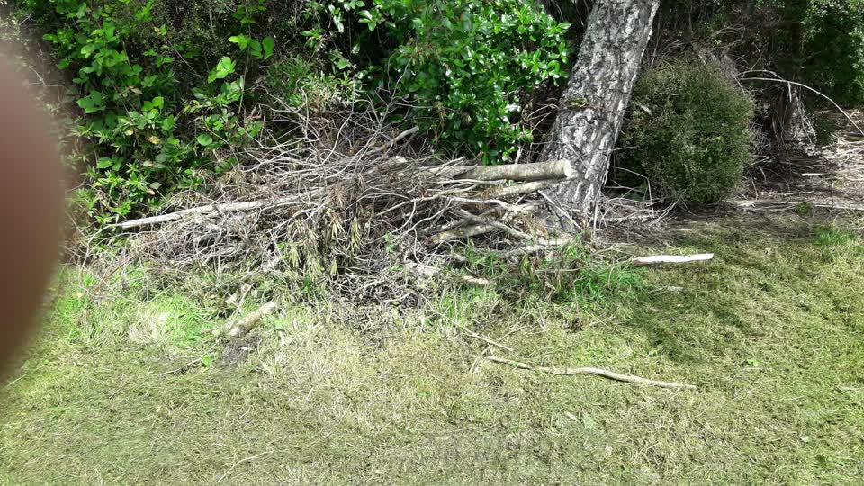 The photograph attached to this parks report