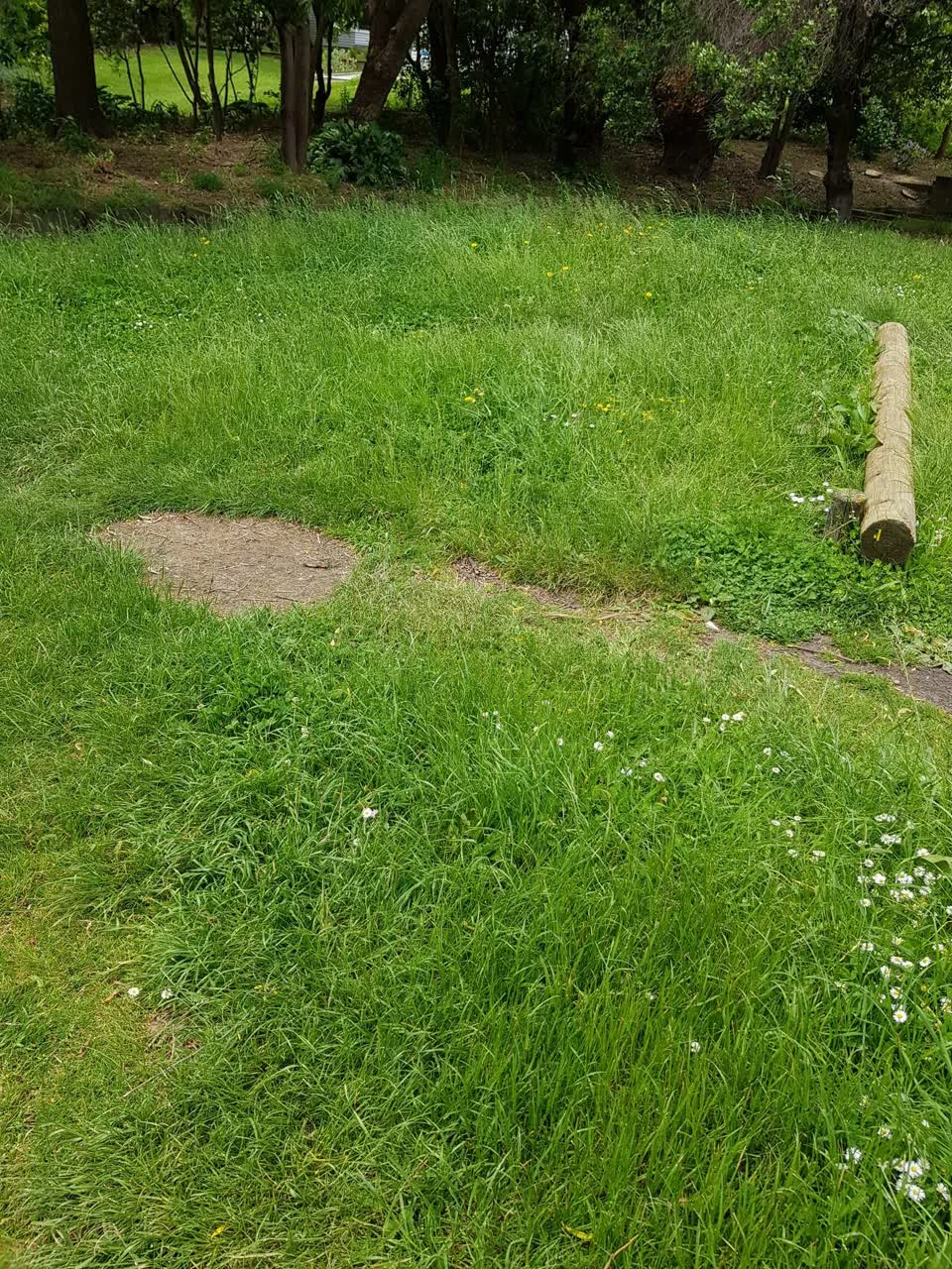 The photograph attached to this parks report