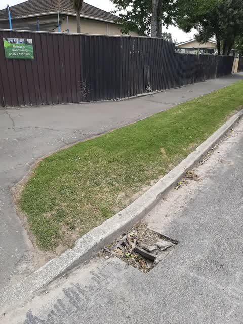 Roading/Streets, a report photo
