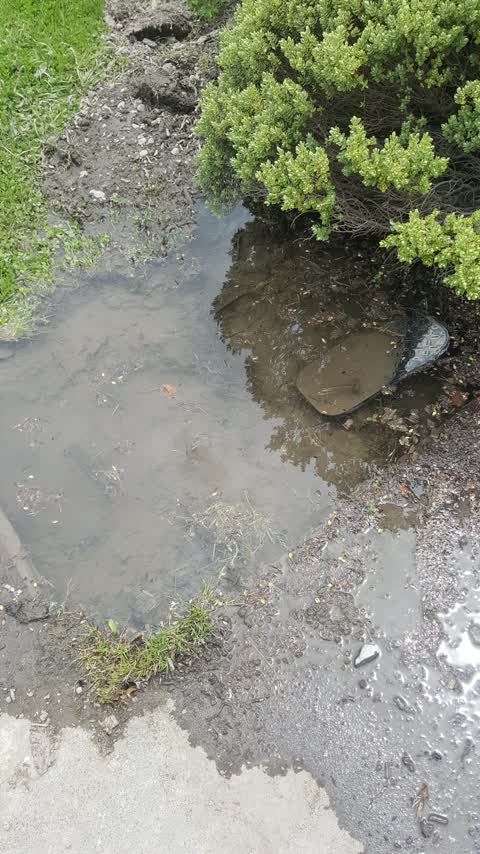 Water Supply, a report photo