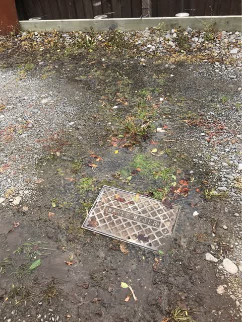 Water Supply, a report photo