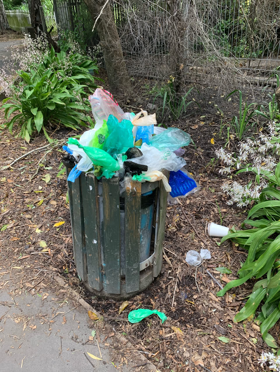 The photograph attached to this rubbish/recycling report