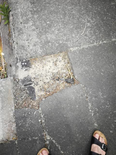 Roading/Streets, a report photo