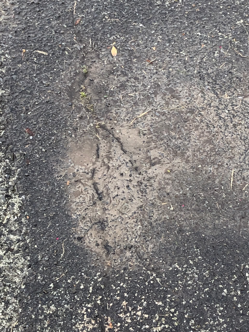 The photograph attached to this water supply report