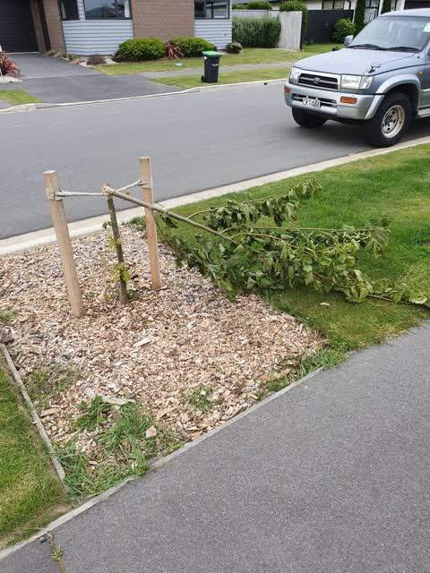 Parks, a report photo